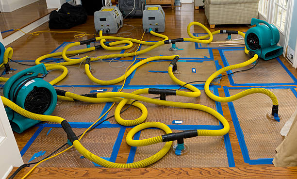 Professional Sewage Cleanup technician working in McDavid, FL